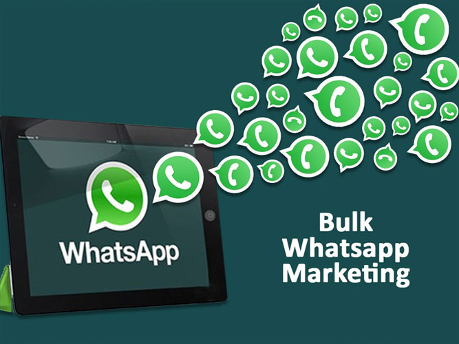 Bulk Whatsapp